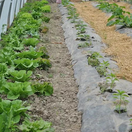 Ξενοδοχείο La Lanterna Di