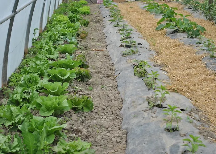 Hotel La Lanterna Di